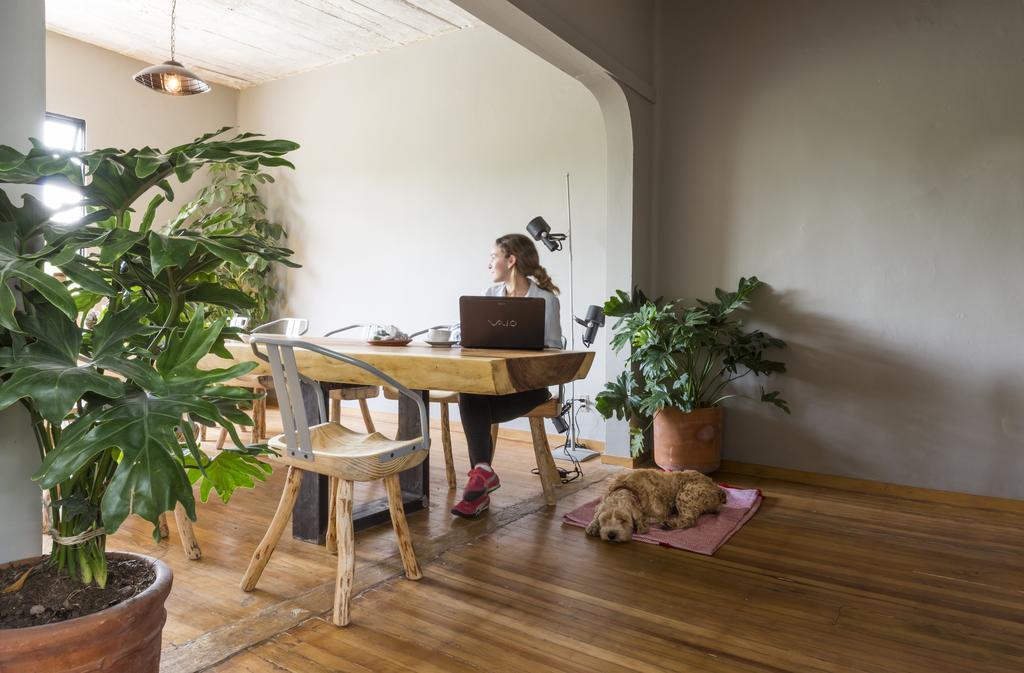 Chaya B&B Boutique Мексико Сити Екстериор снимка