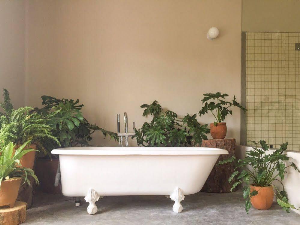 Chaya B&B Boutique Мексико Сити Екстериор снимка